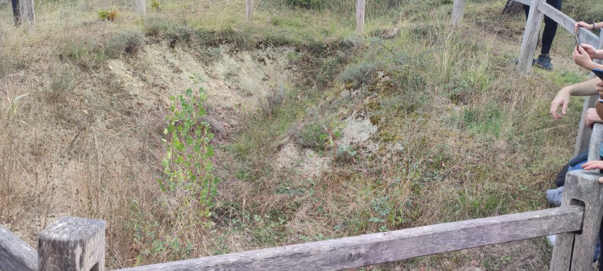 Fosa de Olabe restos (Pequeña)