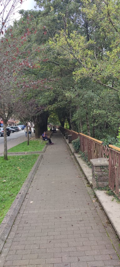 Paseo Bidasoa Elizondo (Pequeña)