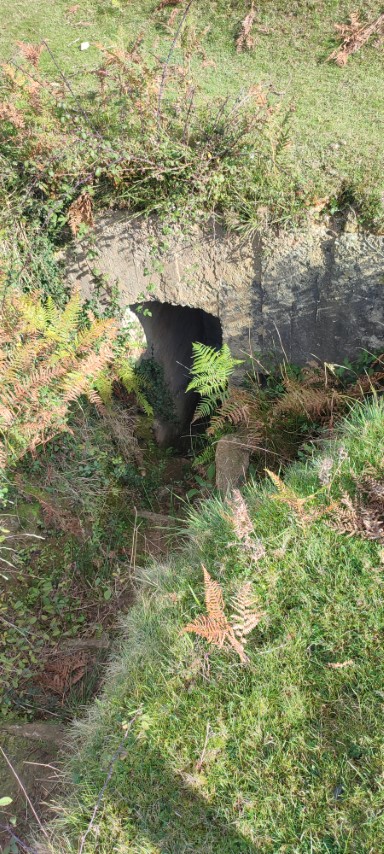 Valle Baztán 4 (Pequeña)